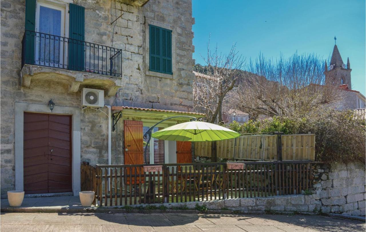 Amazing apartment in Zonza with 1 Bedrooms Buitenkant foto